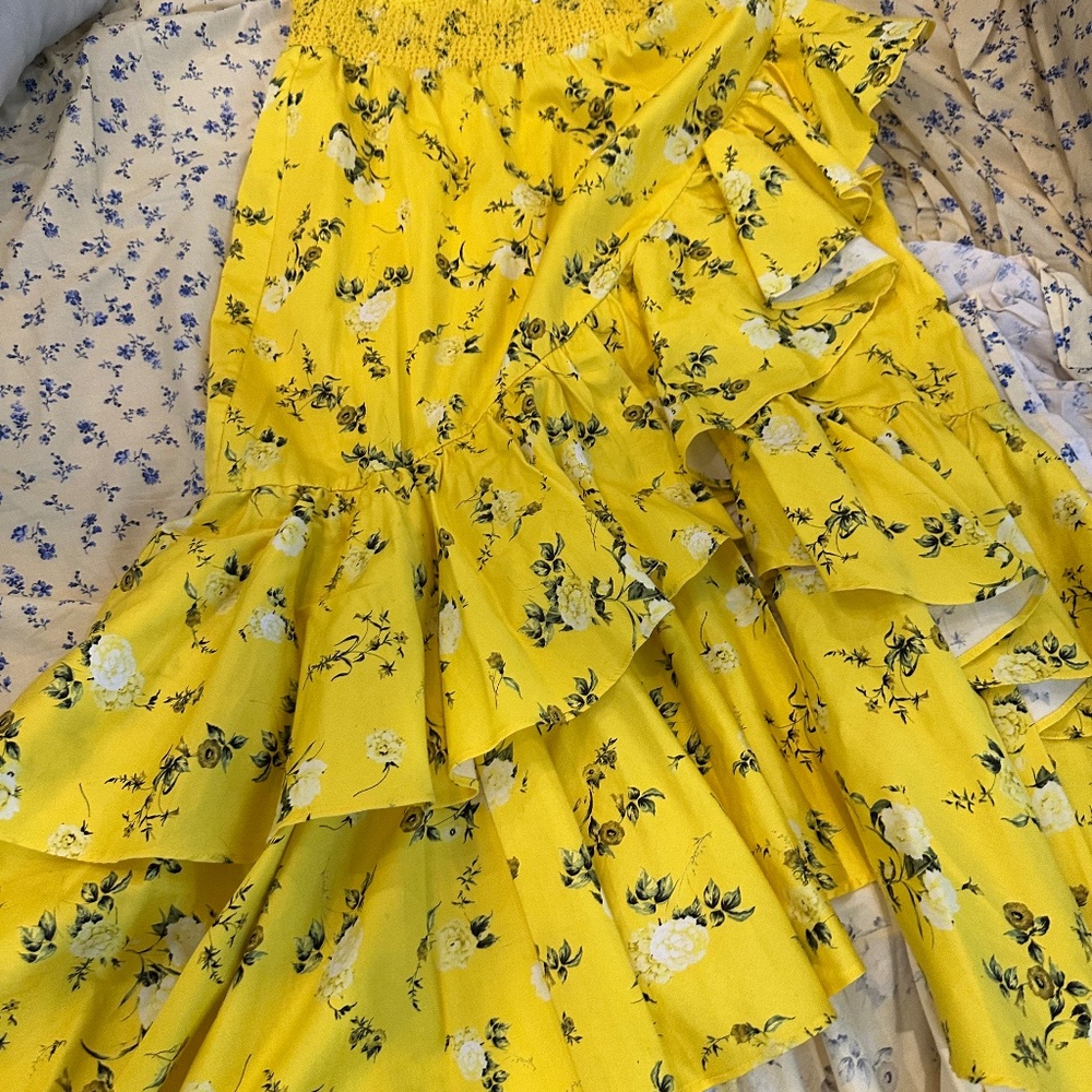 Alice and Olivia skirt